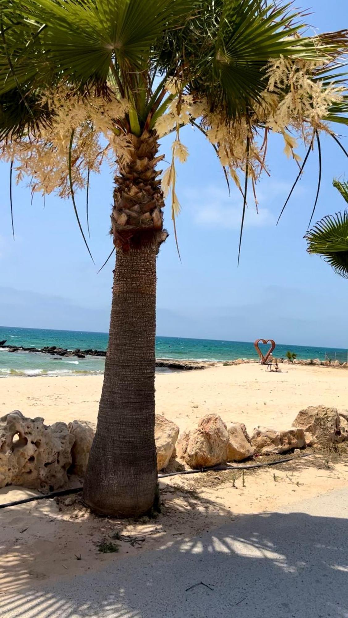 Jasmine Sirens Dom Na Cyprze * Ayia Napa